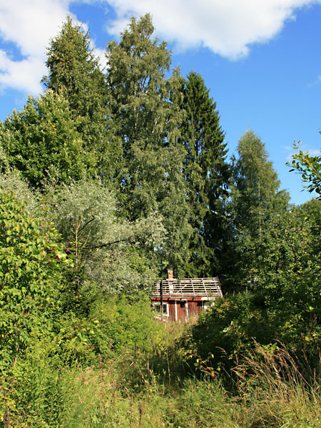 Vuorisentiet&auml;